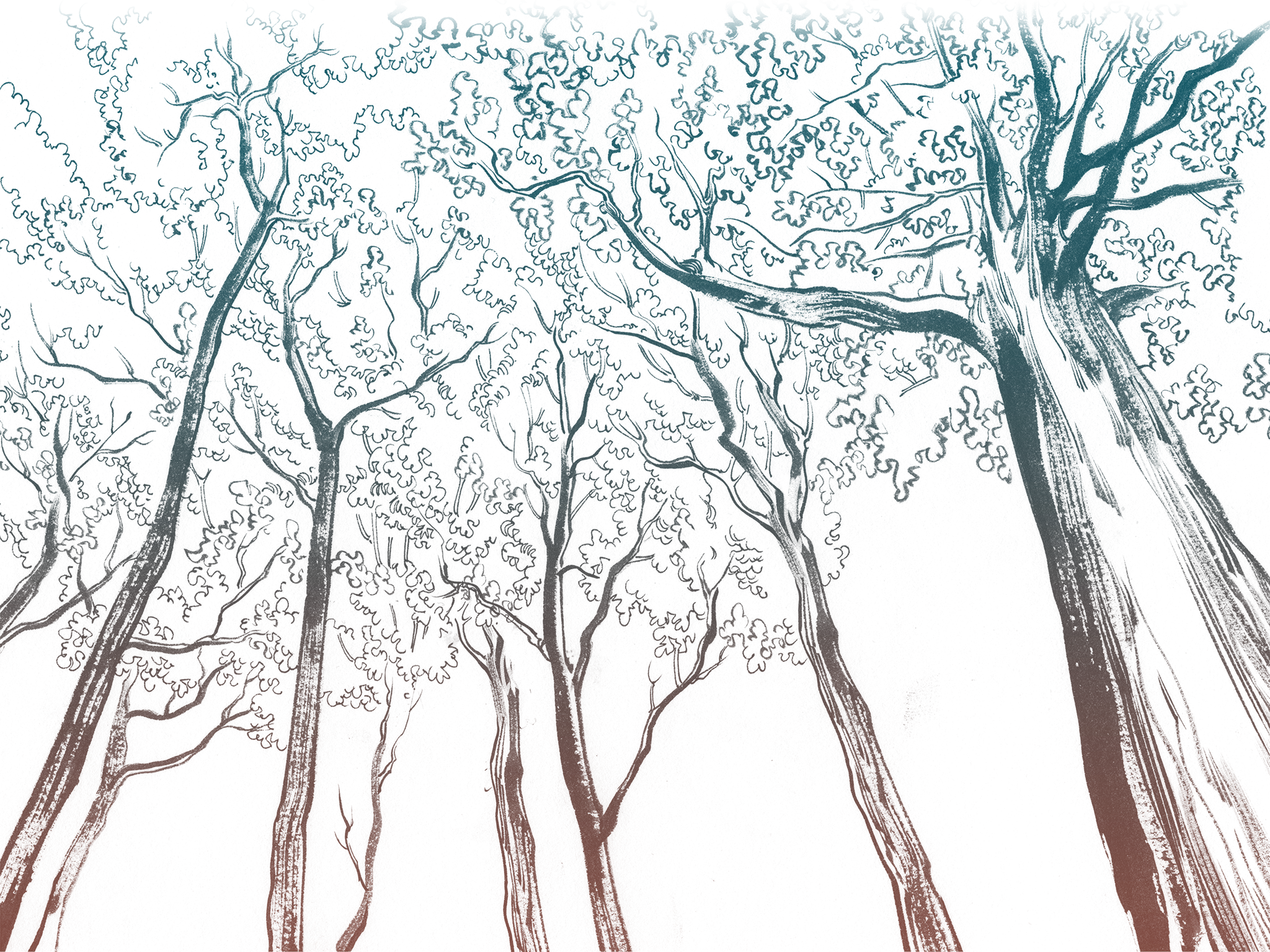 “i Started Mumbling Away About Doing It,” He Laughed - Grove (2048x1536), Png Download