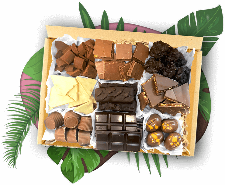 Discover Kiwi Chocolate - Chocolate (740x607), Png Download