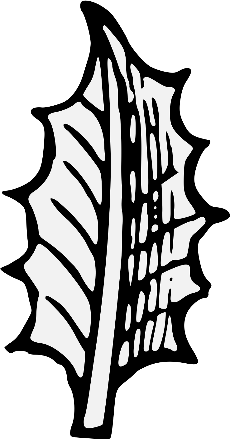 Details, Png (763x1462), Png Download