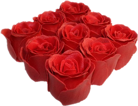 More Bath Petals - K-ancient Bath Roses - 9 Roses In Gift Box (rose) (500x500), Png Download