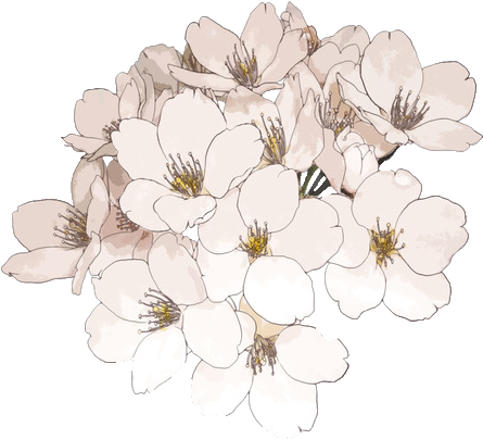 Tumblr Ship Transparent - Express Shipping For Jasmine (500x423), Png Download