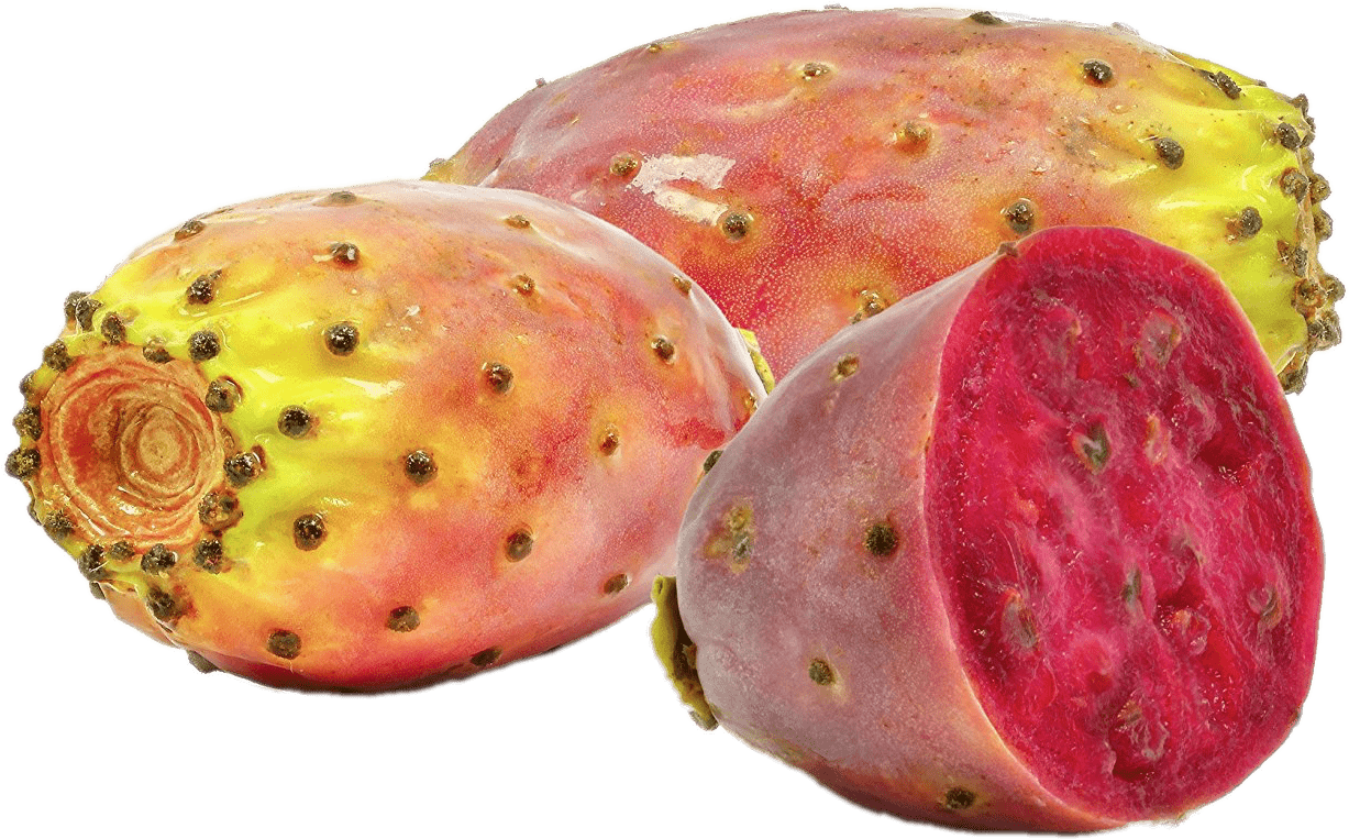 Download - Prickly Pear Cactus Morocco (1500x1000), Png Download