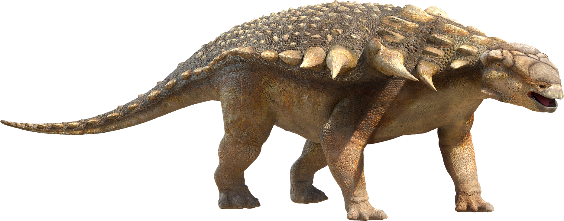 Walking With Dinosaurs Edmontonia (1866x733), Png Download