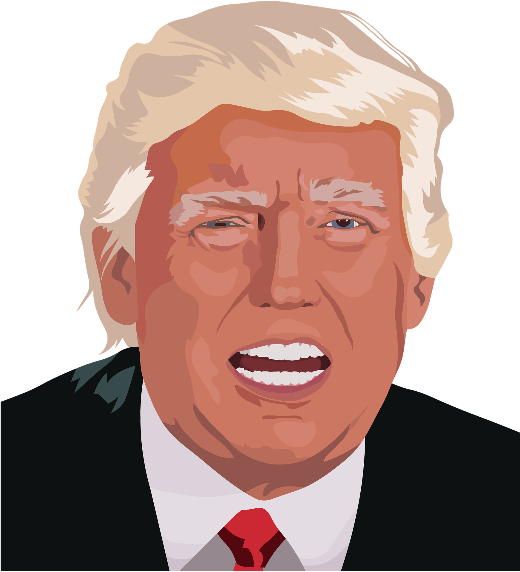 Presidency Of Donald Trump United States The America - Trump Clip Art (684x750), Png Download