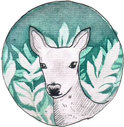 New Deer - Deer Png (500x526), Png Download