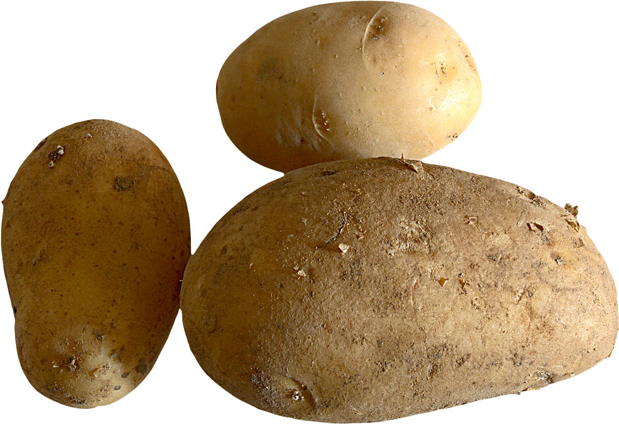 Fresh Potato Png Image - Portable Network Graphics (1296x920), Png Download