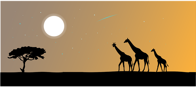 Giraffe Animal The Silhouette Safari Afric - Safari (680x340), Png Download
