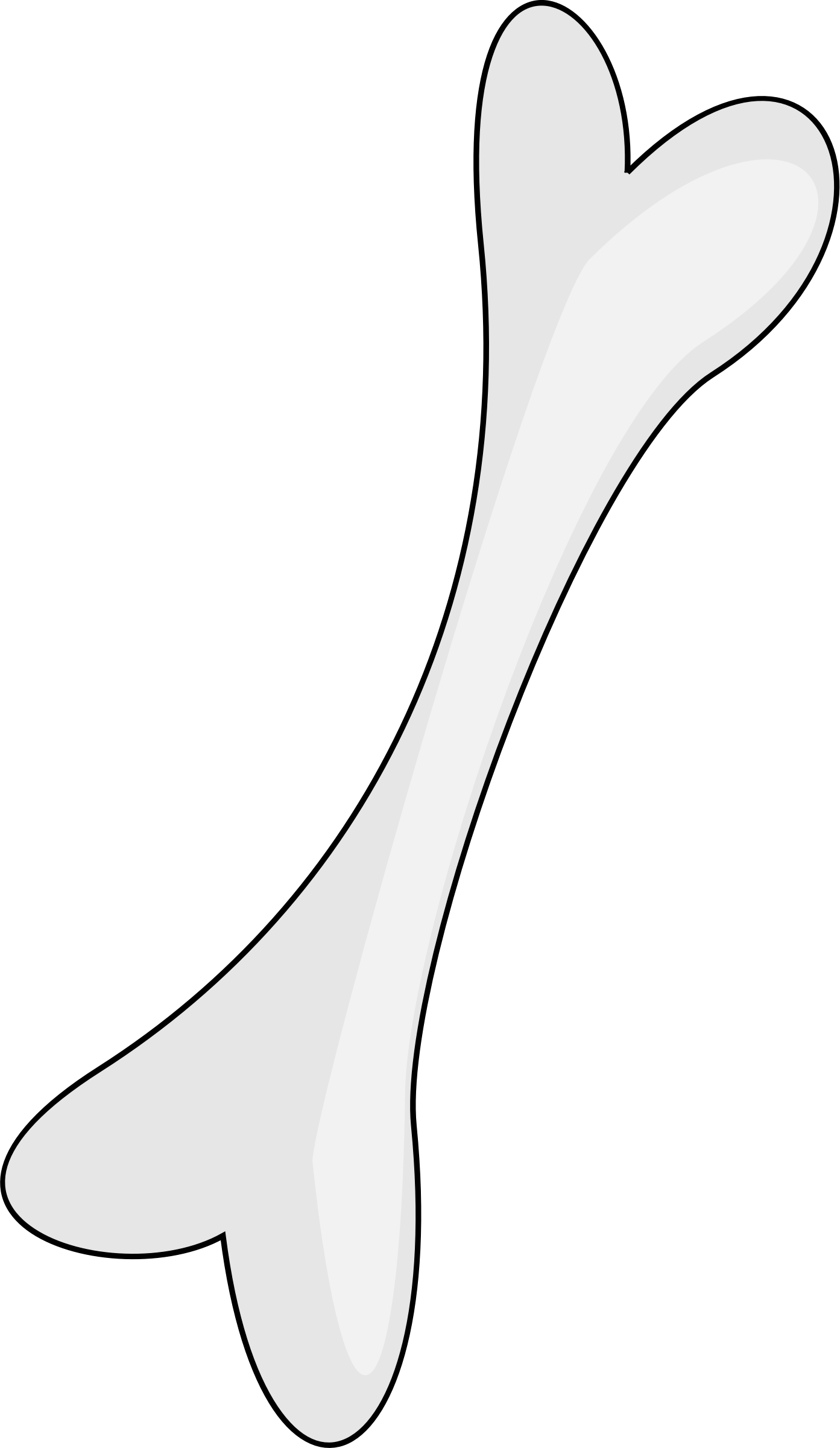 Bone - Bones Png (1393x2400), Png Download