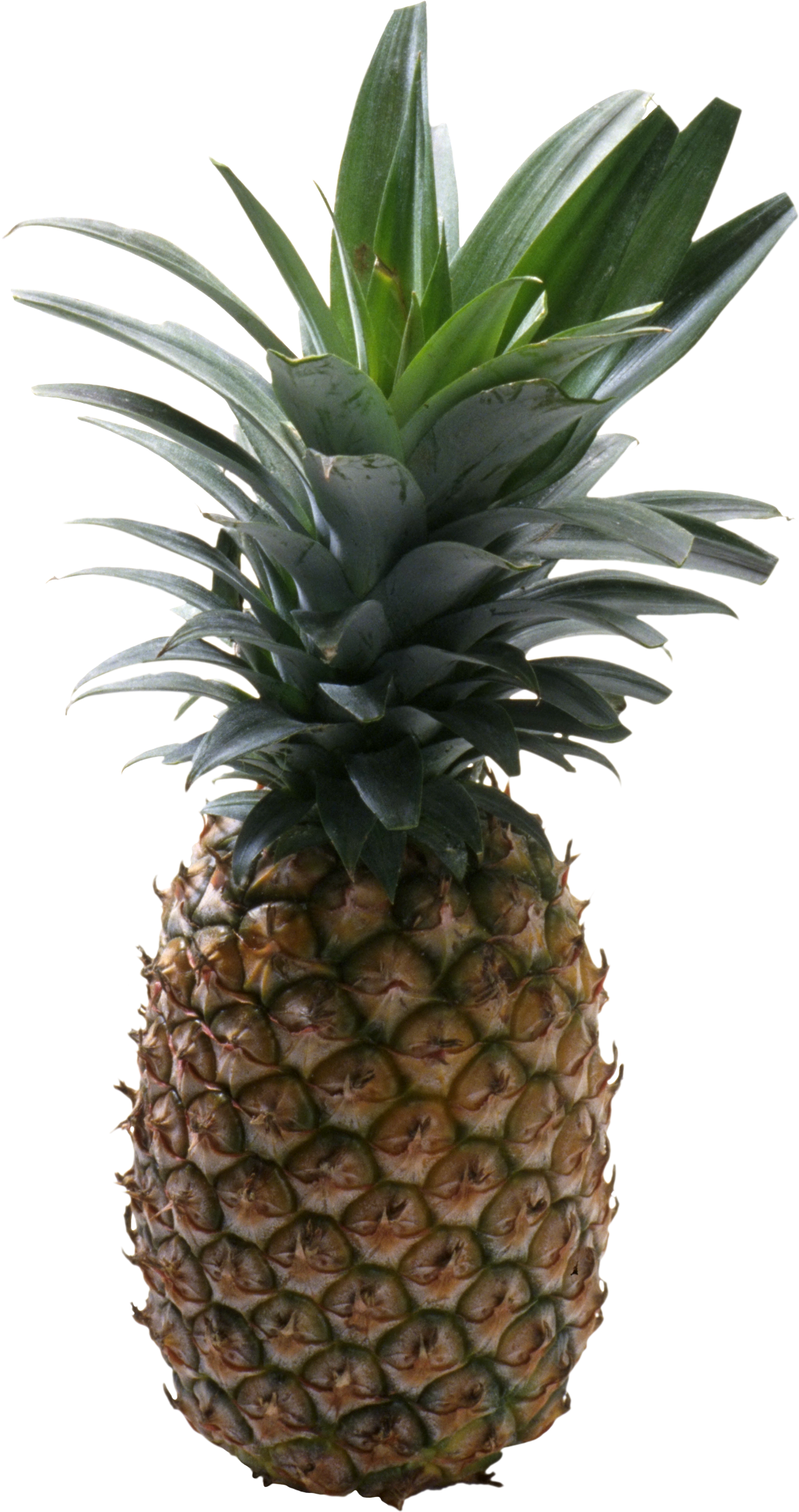 Pineapple Without Background (1176x2225), Png Download