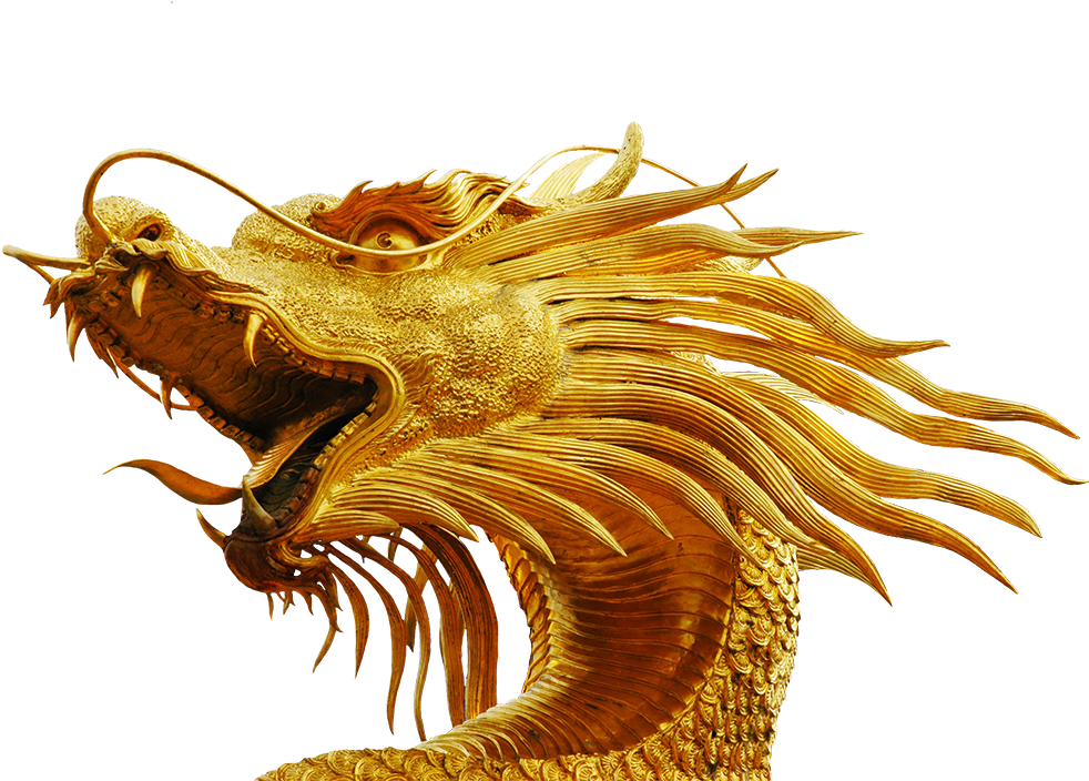 Dragon Skeleton - Dragon Head No Background (1004x745), Png Download