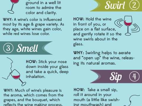 The 5s Tasting Method - Method Of Wine Tasting (480x360), Png Download