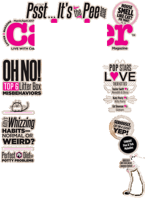 Catster (311x408), Png Download