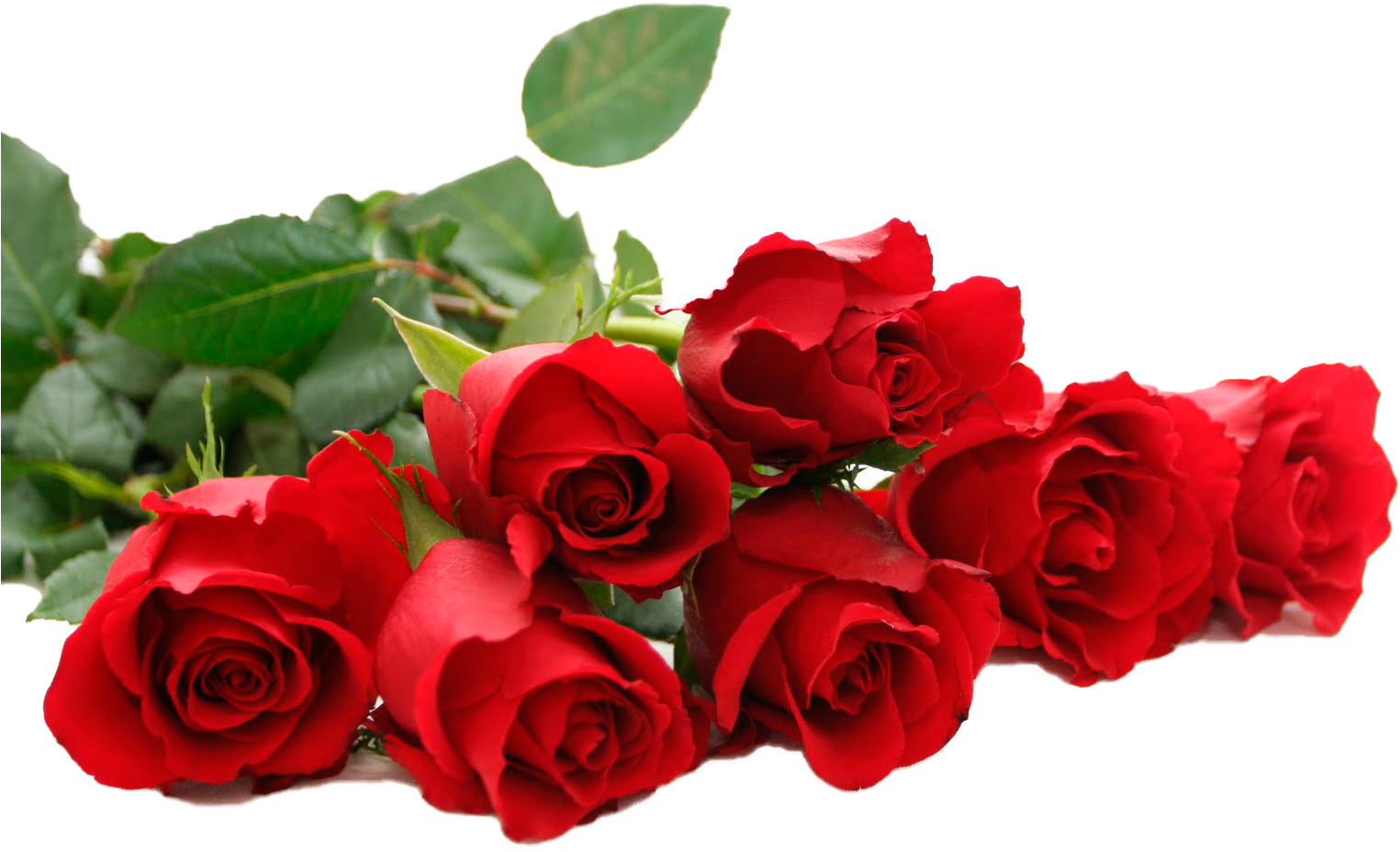 Flores Eencontradas En La Web - Bridesmaid Gift, Pearl Necklace, Bridal Jewelry, Gift (1600x1000), Png Download