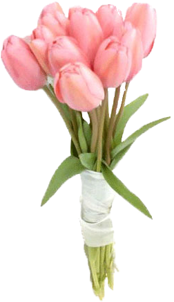 Ramo De Tulipanes Rosados - Ramo De Novia Con Tulipanes (481x649), Png Download
