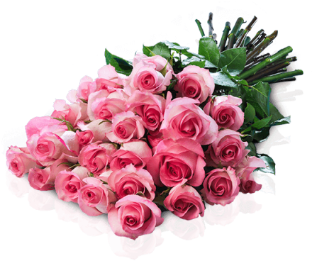 Beso De Marylin - Jarron Con 25 Rosas Rosas (480x480), Png Download