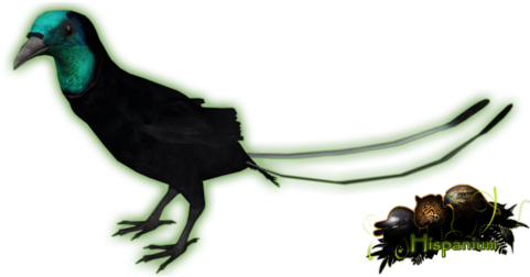 Ribbon Tailed Astrapia - Zoo Tycoon 2 Birds Of Paradise (480x480), Png Download