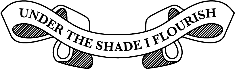 During The M (822x255), Png Download