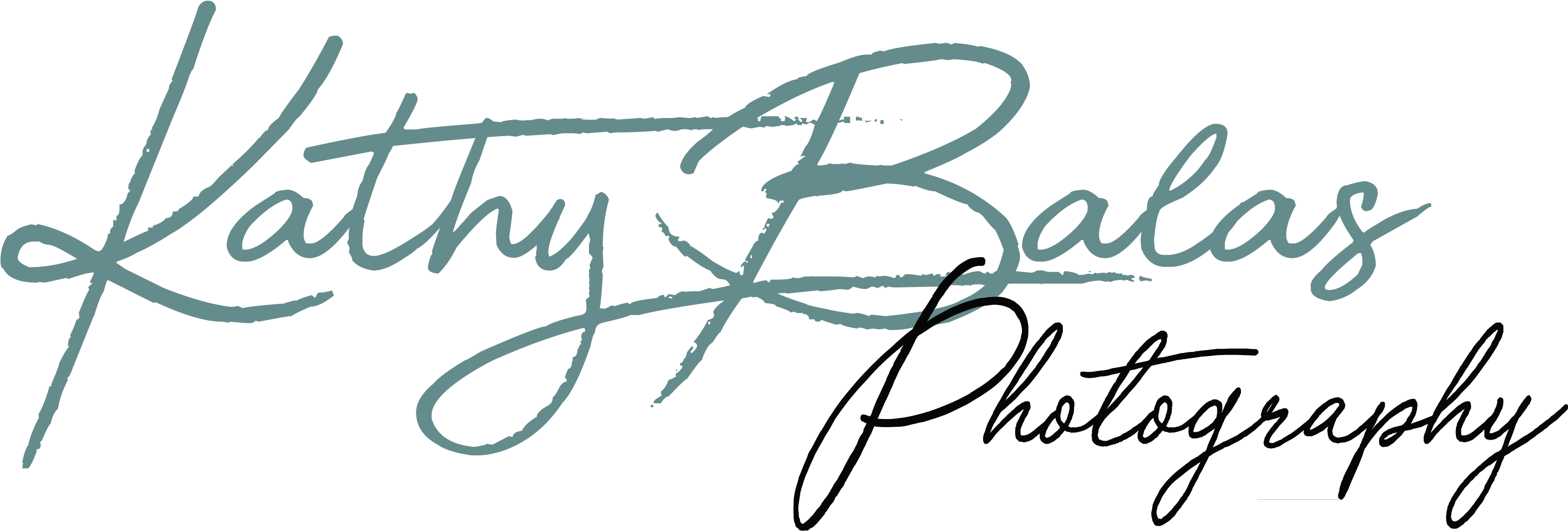 Kathy Balas Photography Llc - Photography (3913x1465), Png Download