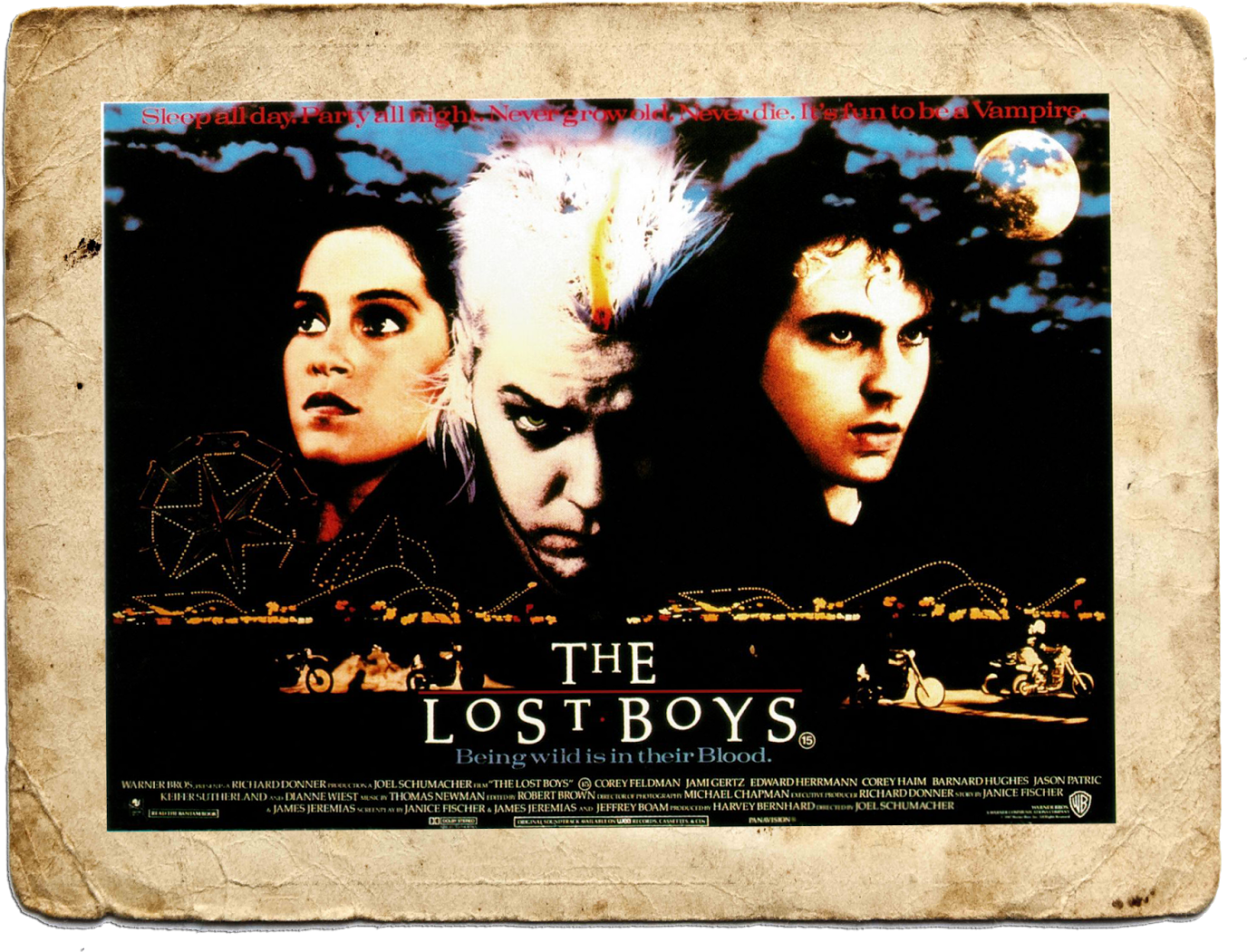 Newlander Starred In A Third Lost Boys Film, Titled - Lost Boys (1987) (1600x1199), Png Download