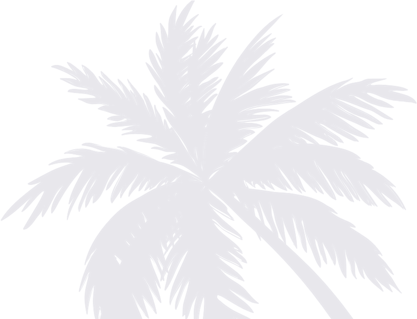 Outdoor Display - Sissylittle Palms Wall Decal (856x627), Png Download