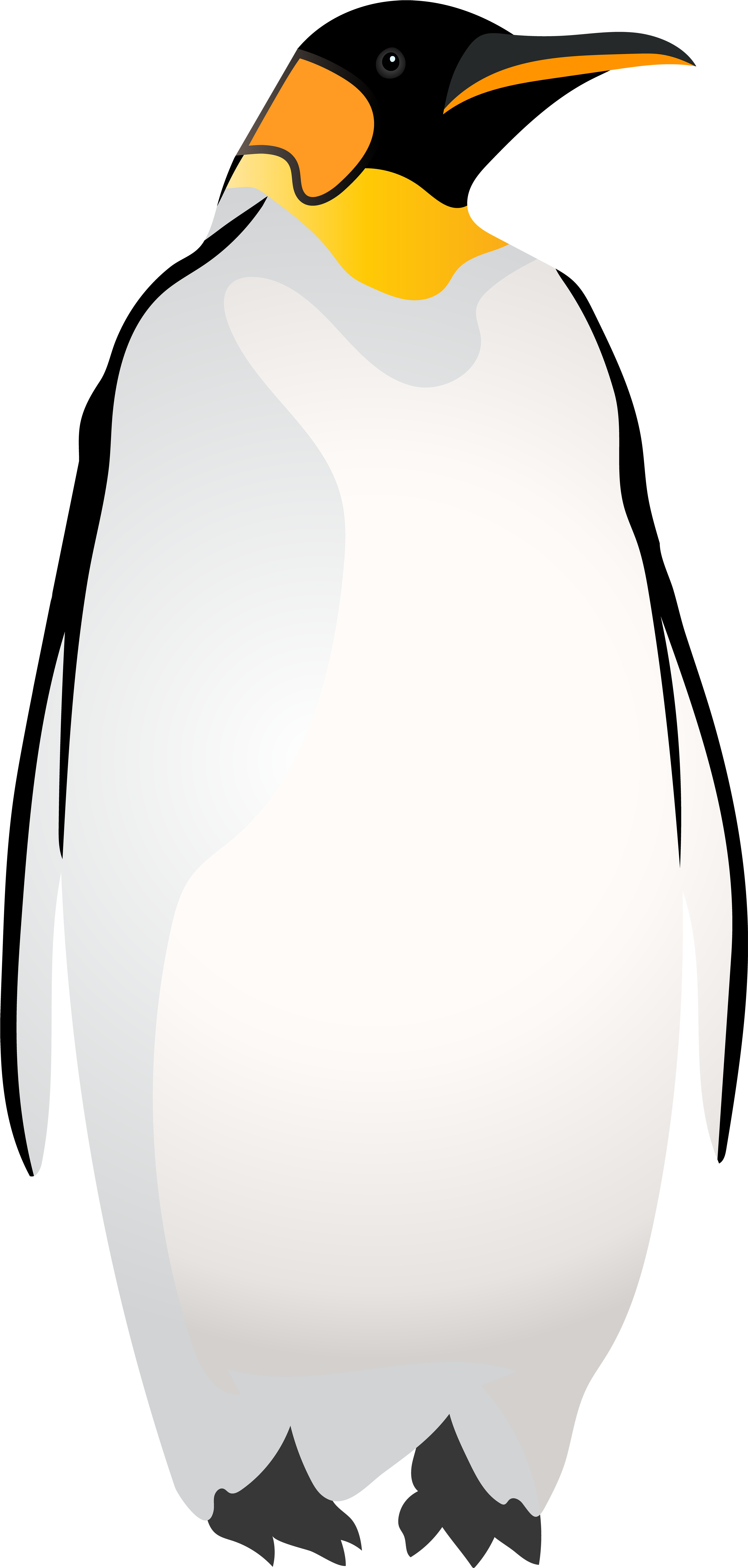 Illustration (3897x8000), Png Download