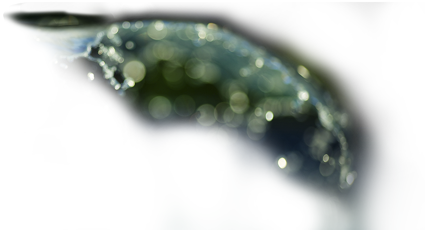 Z Wave Leak Sensor - Macro Photography (845x459), Png Download