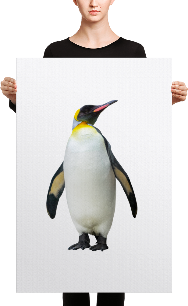 Emperor-penguin Canvas - Black Mask Red Pied French Bulldog Canvas (1000x1000), Png Download