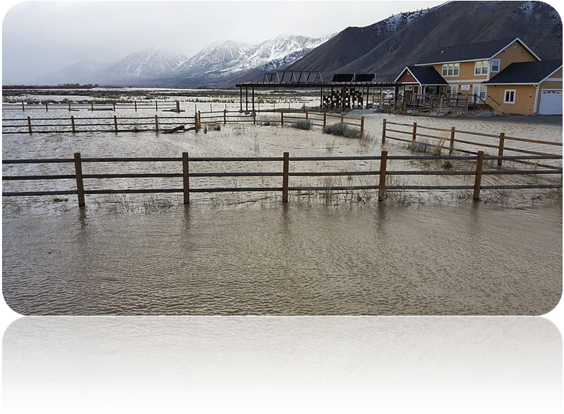 Nv Floods - Carson Valley Flooding 2017 (821x919), Png Download