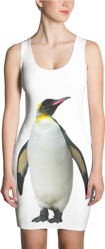 Download Emperor-penguin Print Sublimation Cut & Sew Dress ...
