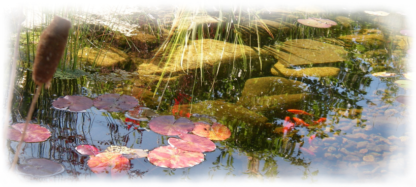 Counselling Services For Adults - Psychotherapy (883x367), Png Download