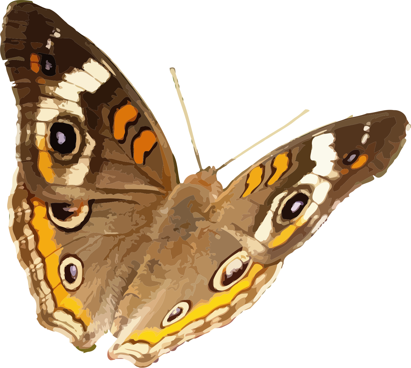 Big Image - Mariposas Real Png (1430x1278), Png Download