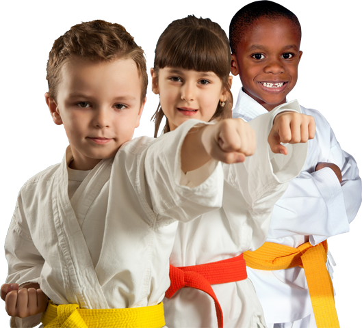 Kids Martial Arts (529x480), Png Download
