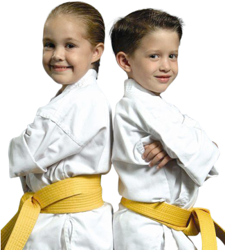 Visit - Boy And Girl Karate (324x385), Png Download