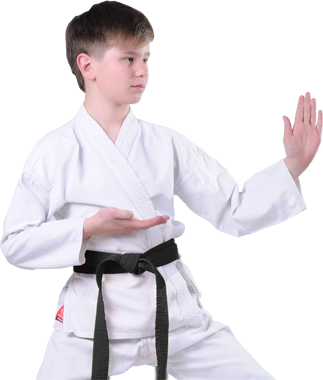 Kids Karate & Taekwondo - Karate (323x380), Png Download