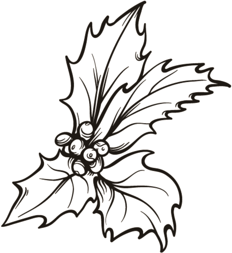 Christmas Flower Png Transparent - Portable Network Graphics (1024x1024), Png Download