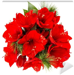 Bouquet Of Amaryllis - Flower Image Without A Background (400x400), Png Download