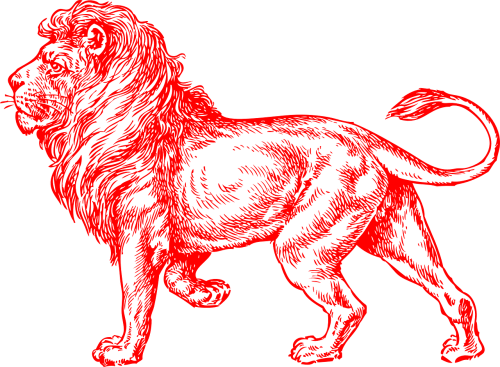 Lion Sketch Shower Curtain (500x367), Png Download