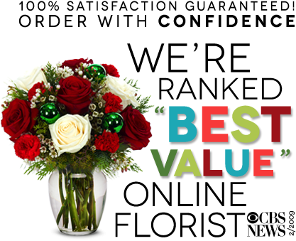 Read More » From You Flowers, Named The Best Value - You Flowers Christmas Flowers: Christmas Cheer - Regular (420x378), Png Download