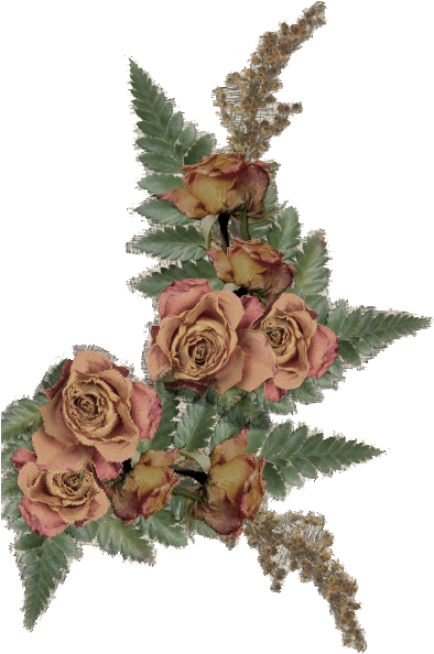 Christmas Menus - Garden Roses (405x616), Png Download