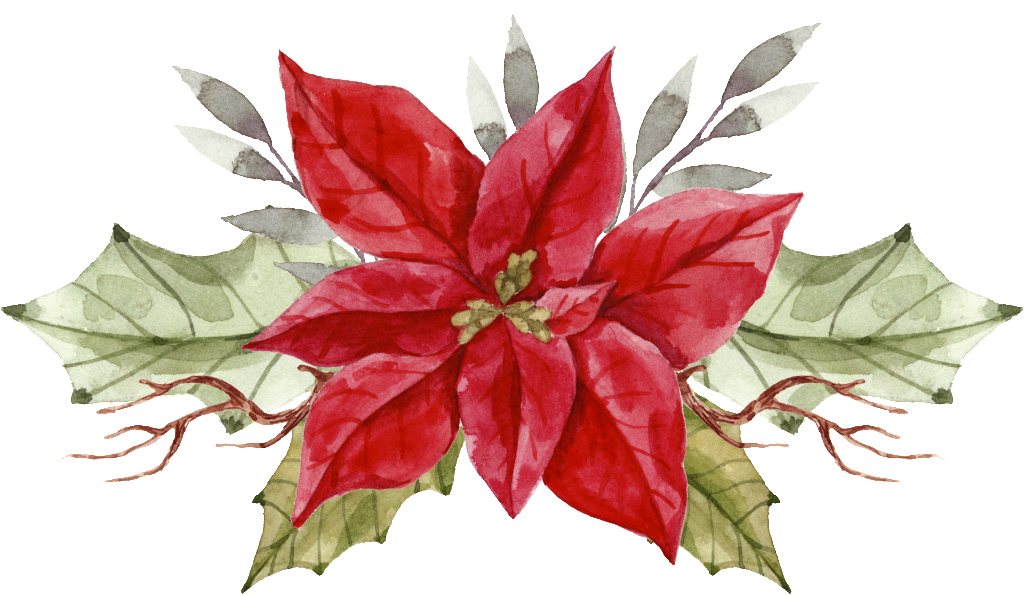 Download Painted A Christmas Flower Png Transparent - Christmas Day