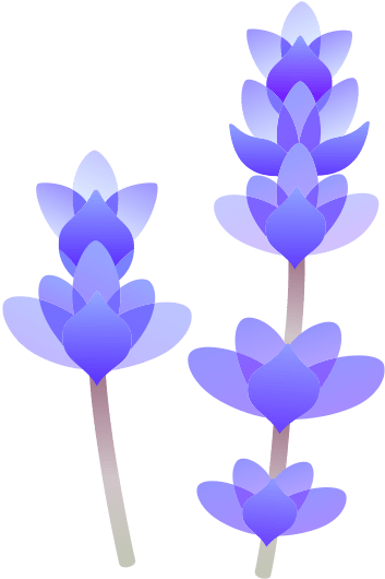 Lavender - Aromatherapy (600x600), Png Download