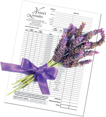 Victor's Lavender Order Form - Planilha De Orçamento Familiar (350x385), Png Download
