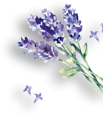 D Lavendelsprizz Rechts - English Lavender (400x758), Png Download