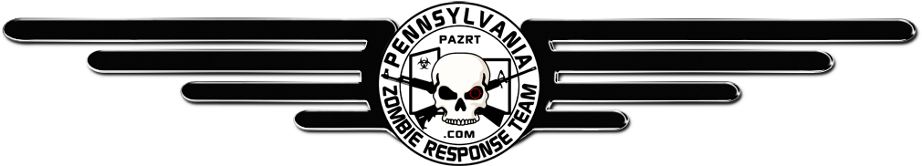 Iron Wings Logo Png (1024x307), Png Download