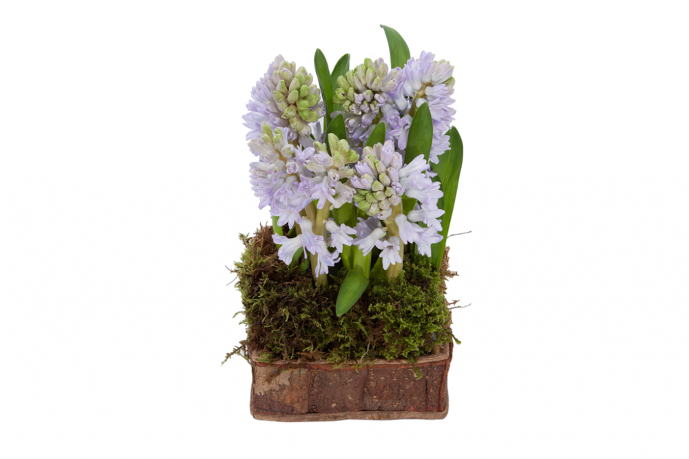 0029 Lady Lavender - Bouquet (1000x1000), Png Download