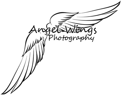 Angel Wings Photography Logo - Photography Logos With Wings (410x376), Png Download