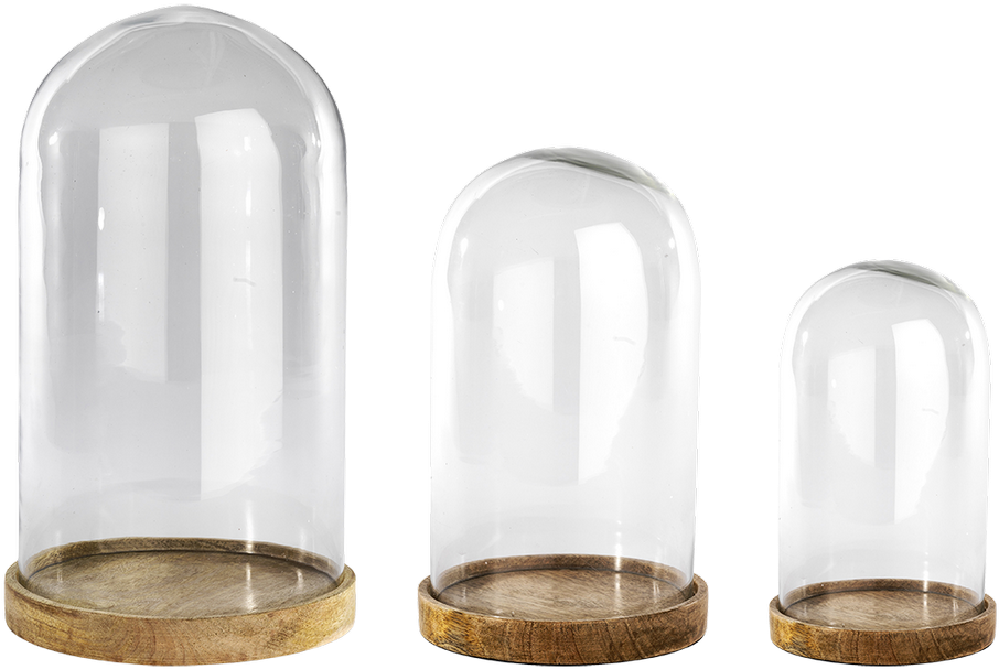 Inu Glass Decorative Dome (1400x1008), Png Download