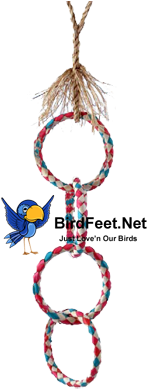 Planet Pleasures, Four Ring Chain Medium, - Toy (400x400), Png Download