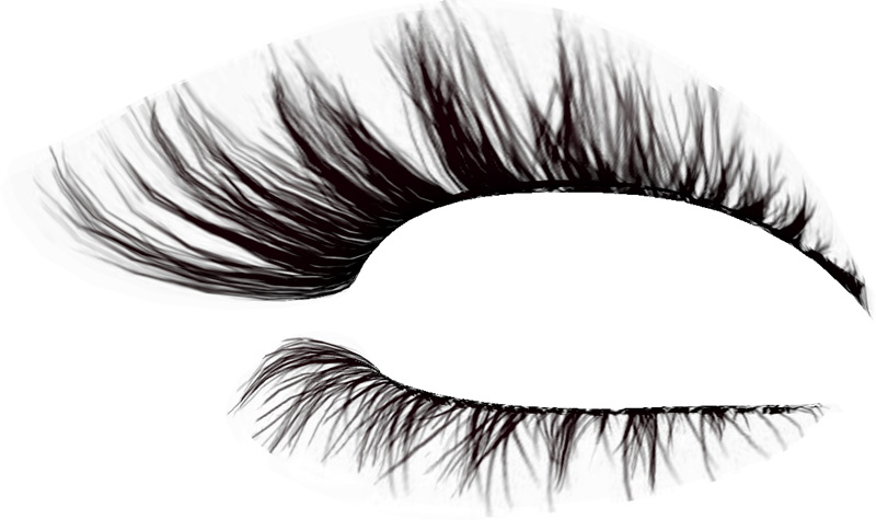 Pestañas Png Para Photoscape - Eyebrows Png (800x475), Png Download