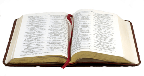 Share This - - Open Bible Psalms 62 (480x254), Png Download